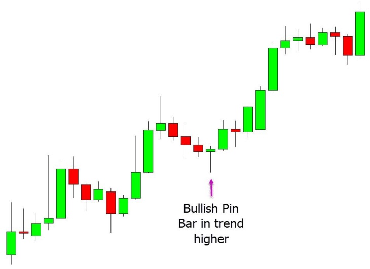 a chart shows price forms the bullish pin bar at the swing low within the trend higher