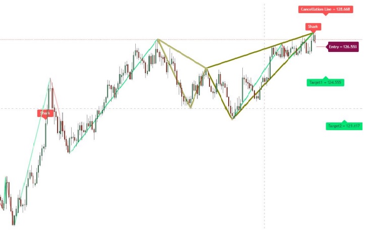 a chart shows These patterns offer a way for you to establish where the key market turning points will occur